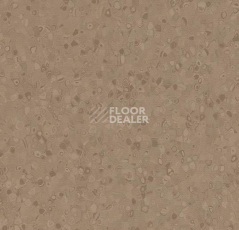 Линолеум Forbo Sphera Element 50025 earth фото 1 | FLOORDEALER